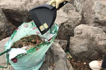 Limpieza de la escollera sur del muelle de Taliarte (Foto Pedro Martel/Wendy Cruz)